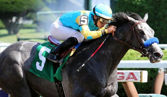 el-kabeir-kentucky-derby-odds