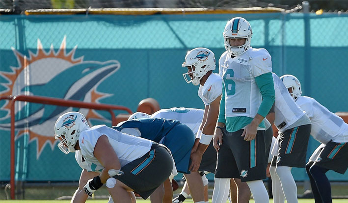 Are the Dolphins a safe betting pick in this NFL Preseason matchup?