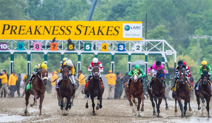 Exacta, Trifecta and Superfecta Picks for the 2018 Preakness Stakes