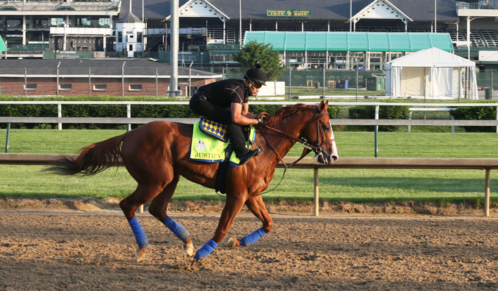 Favorites, Dark Horses and Smart Picks for the 2018 Preakness Stakes