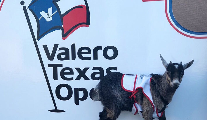 2018 Valero Texas Open Betting Preview & Prediction