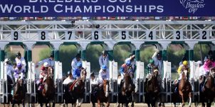 2019 Breeders' Cup Odds, TV Schedule, Entire List and Preview