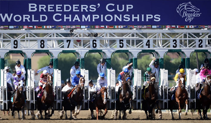 2019 Breeders' Cup Odds, TV Schedule, Entire List and Preview