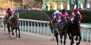 2019 Kentucky Derby Trifecta, Superfecta and Exacta Picks