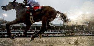 2019 Preakness Stakes Betting Favorites