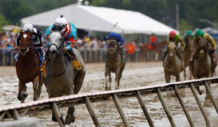 2019 Preakness Stakes Dark Horses and Long Shots