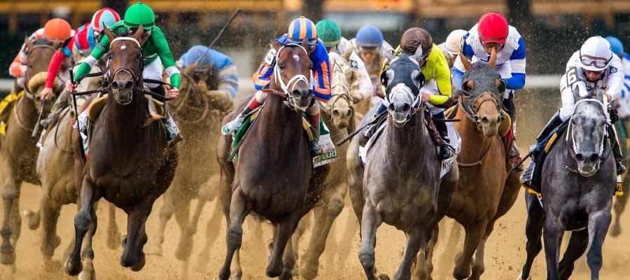 2024 Belmont Stakes Betting Odds & Analysis for Possible Winner