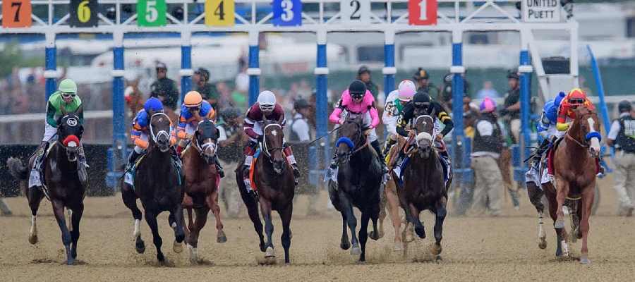 Belmont Stakes 2022 Betting Analysis: Insights to Consider