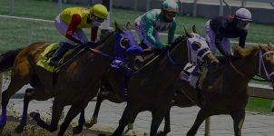 Horse Racing News: Early Picks for the 2020 Breeders' Cup
