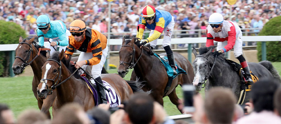 Horse Racing: Preakness Stakes Odds & Analysis to Bet On