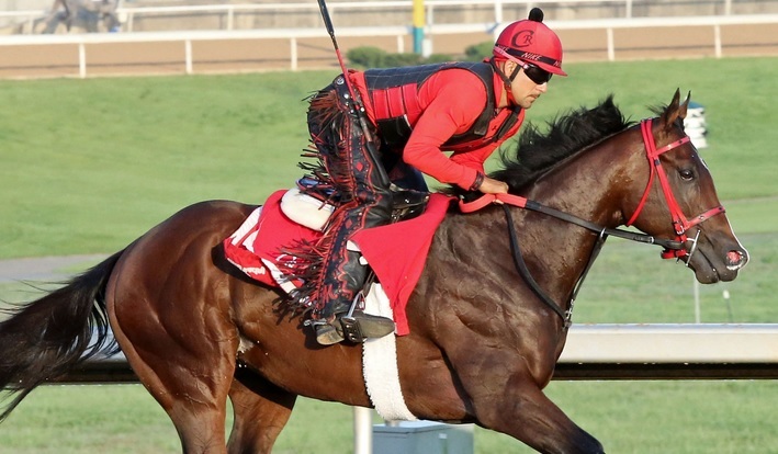 MAY 05 - 2017 Kentucky Derby Final Predictions