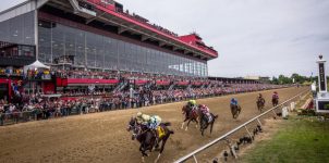 2019 Preakness Stakes Betting Strategies.