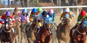 Betting Horse Racing events on Xbet: Everything You need to Know this 2025