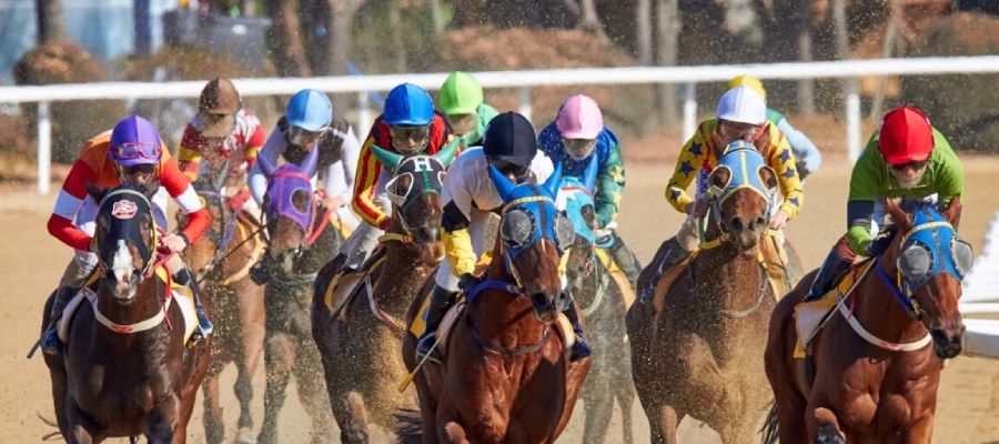 Betting Horse Racing events on Xbet: Everything You need to Know this 2025