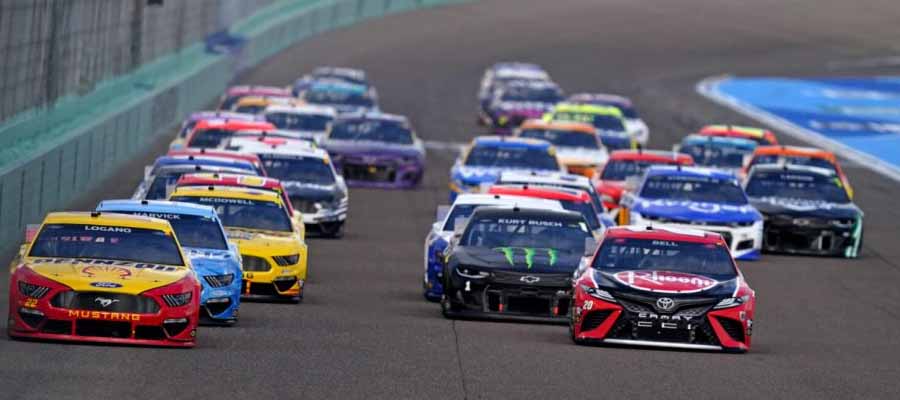 Blue Emu Maximum Pain Relief 500: NASCAR News: Cup Series Betting Preview