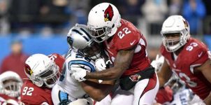 Carolina Panthers at Arizona Cardinals : NFL Week 10 Betting Preview