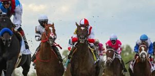 Early Belmont Stakes Odds: Horse Racing Betting Preview