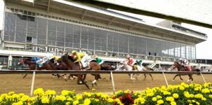 Early Preakness Stakes Betting Preview