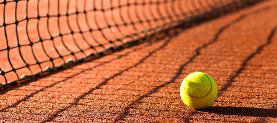 French Open Underdogs to Consider for Men's & Women's Singles