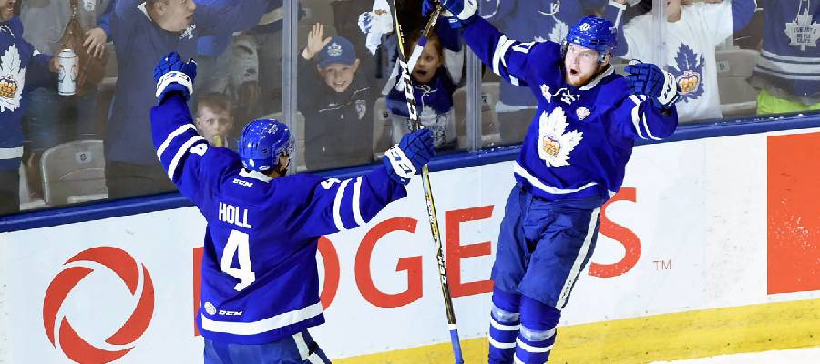 AHL Hockey Games: Top Picks to Win: Weekend games to win easy