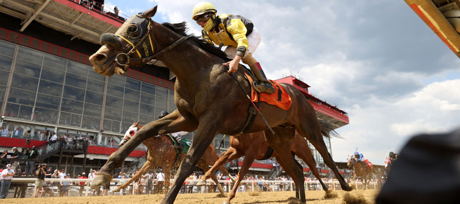 Preakness Stakes Betting Odds & Analysis: Horses to Win at Pimlico