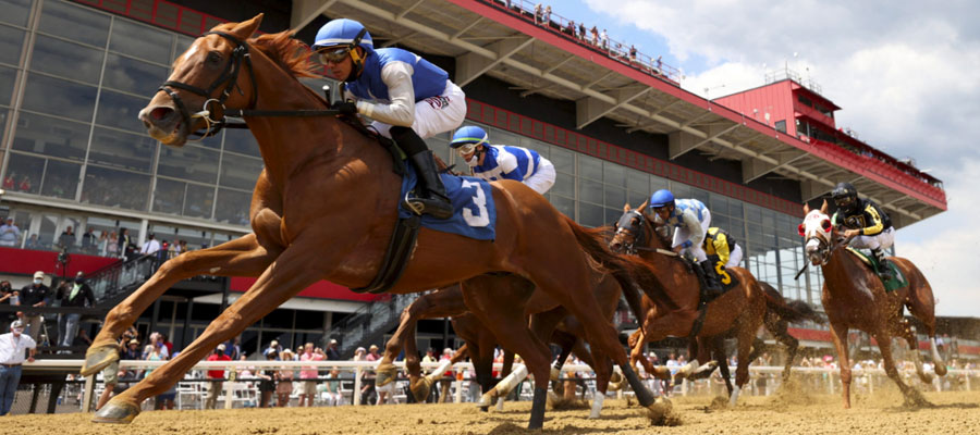 Preakness Stakes Odds: Favorite Horses to Win at Pimlico