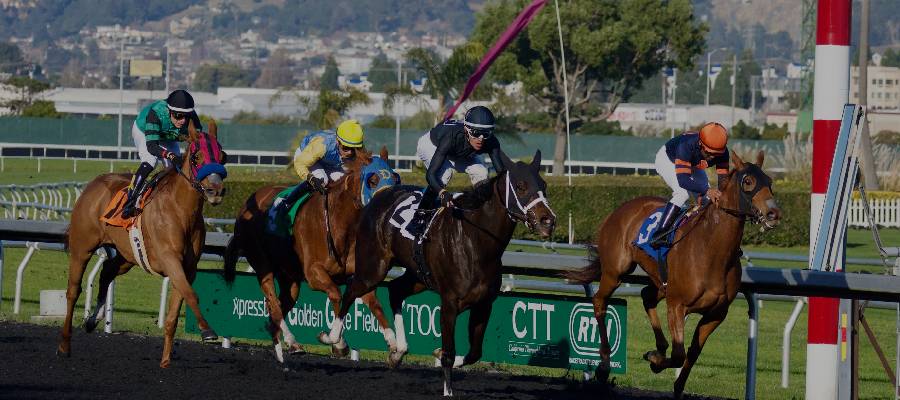 Early odds and Insights for Breeders Cup- Odds for Top Contenders