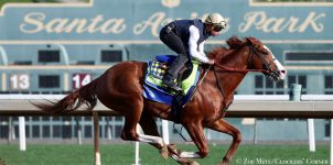 2019 Preakness Stakes Betting Props