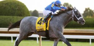 Kentucky Derby Updates: Find Out Who has the Best Odds