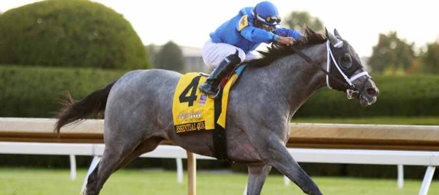 Kentucky Derby Updates: Find Out Who has the Best Odds