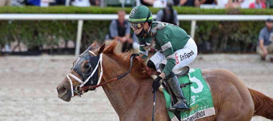 Kentucky Derby Updates: Post #2: Like The King and Who is in Post #1?