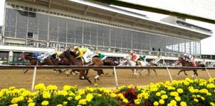 Midweek Preakness Stakes Updates and Odds: Concert Tour is on Top