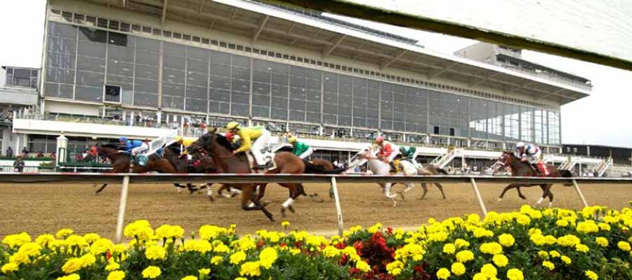 Midweek Preakness Stakes Updates and Odds: Concert Tour is on Top