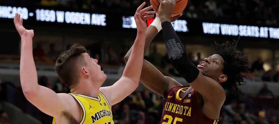 Minnesota at Michigan : College Basketball Betting Preview