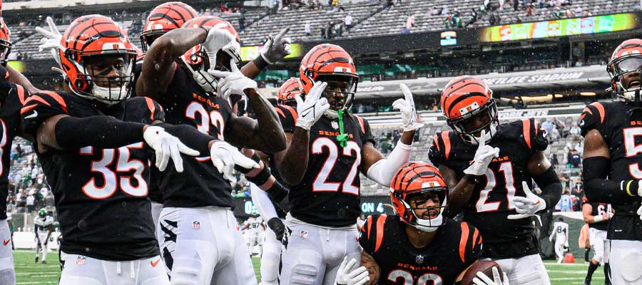 NFL Odds, Lines: Cincinnati Bengals Opponent Analysis for 2023/24 Season