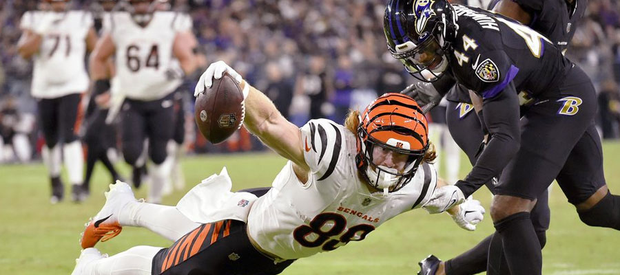 2023 NFL Division Odds to Win AFC North