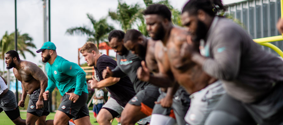 Miami Dolphins Betting Preview for this Coming NFL Season