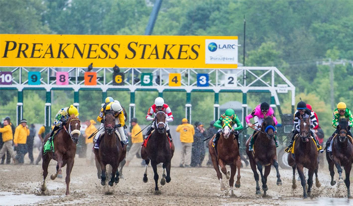 2018 Preakness Stakes Betting Cheat Sheet