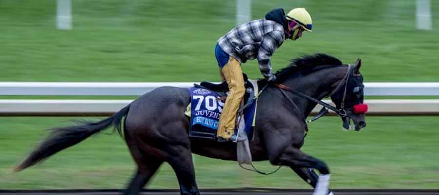 Triple Crown Updates : Is there a Potential Triple Crown Winner in the Pool
