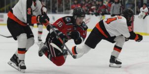 Canadian Hockey WHL Games to Bet on / Futures